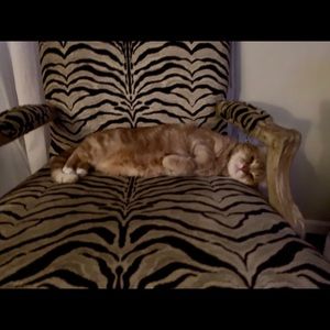 Meet your Posher, Ali